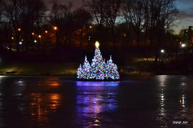 Harlem-Meer-Christmas-Tree-Floating-Central-Park-NYC